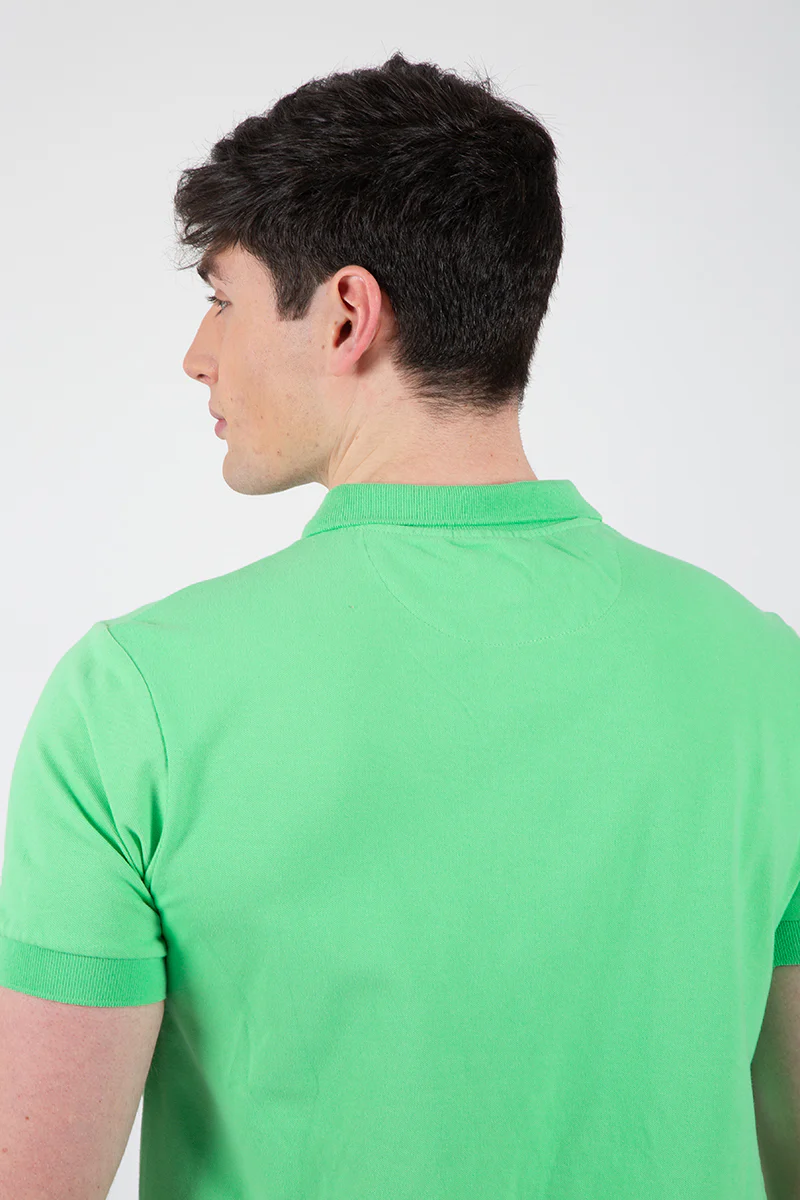 Polo Verde - Image 2