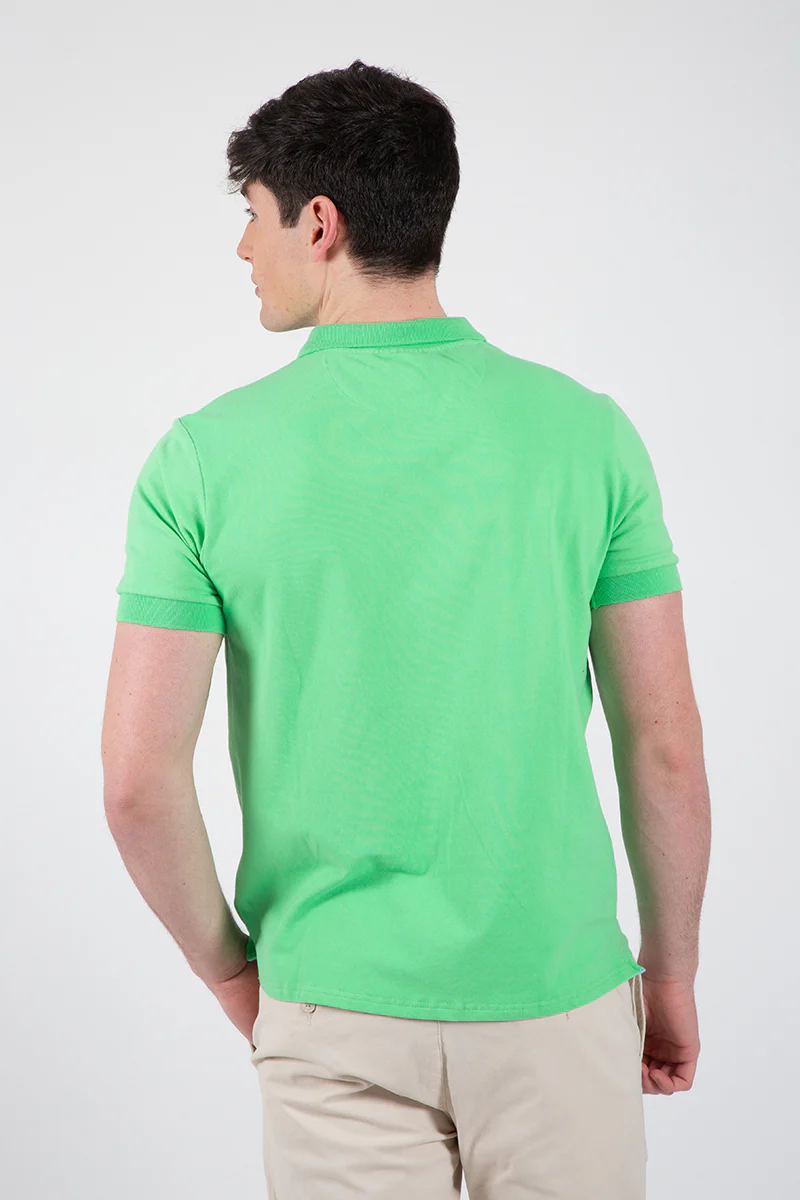 Polo Verde - Image 3